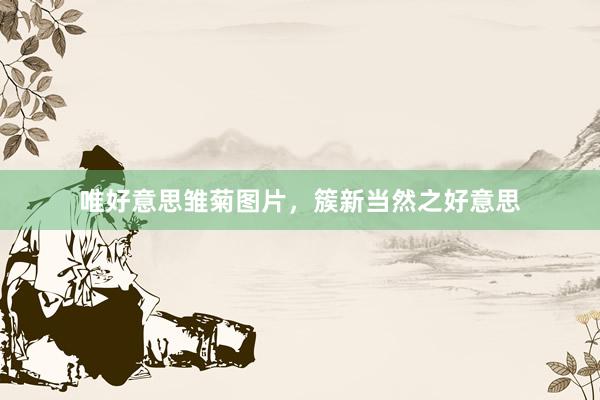 唯好意思雏菊图片，簇新当然之好意思