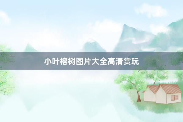 小叶榕树图片大全高清赏玩